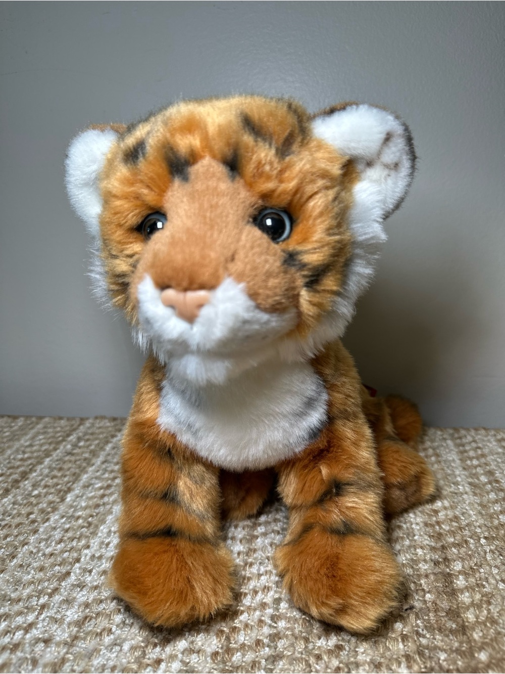 Douglas Pancake the Bengal Kitten Plush
